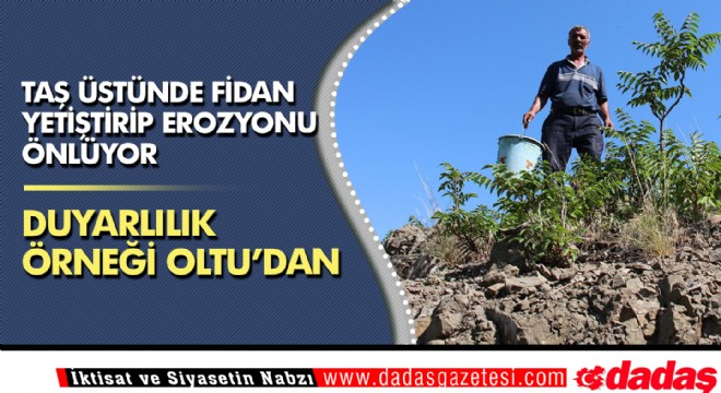 Taş üstünde fidan yetiştirip erozyonu önlüyor 